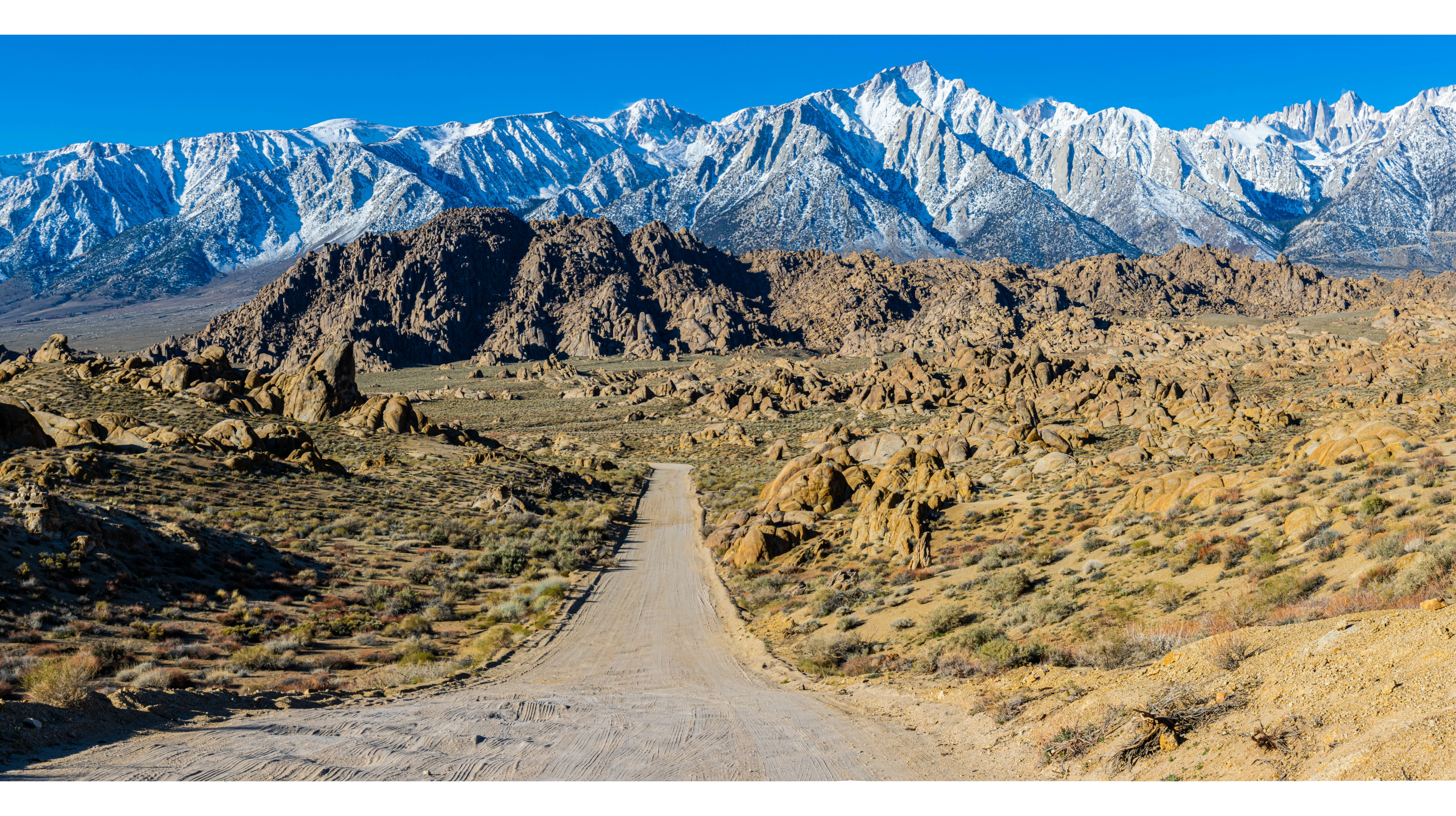 Sierra Landscape